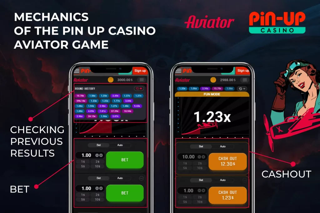 Mechanics of the Pin Up casino Aviator game